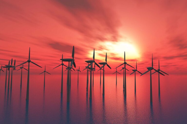 IFS Cloud przyspiesza wzrost Aneo