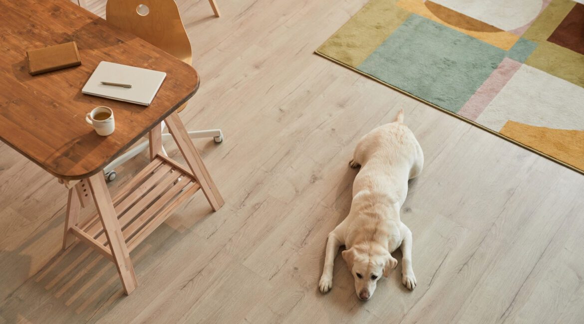 Bjelin Group wybiera IFS Cloud