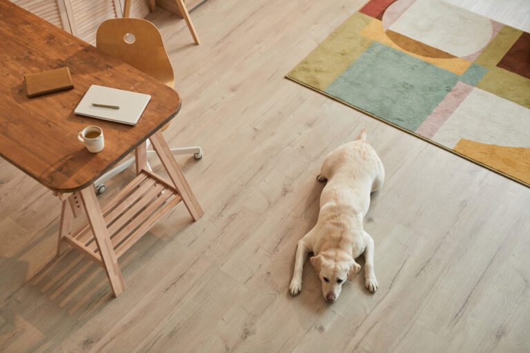 Bjelin Group wybiera IFS Cloud